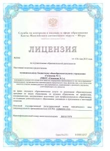 Лицензия 1 л.