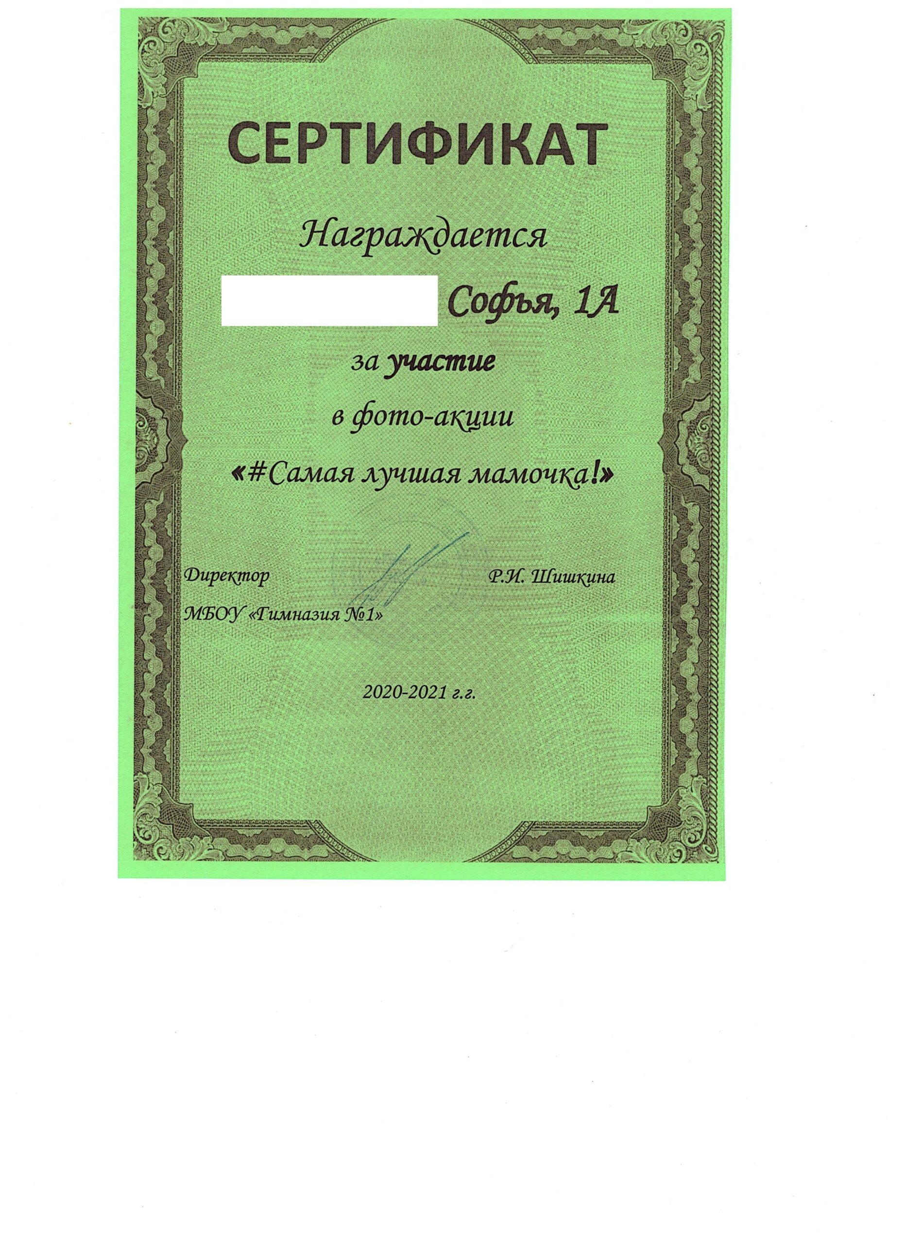 Раздел 2. Представление о педагогической профессии и профессиональной  миссии Муниципальное бюджетное общеобразовательное учреждение «Гимназия №1»